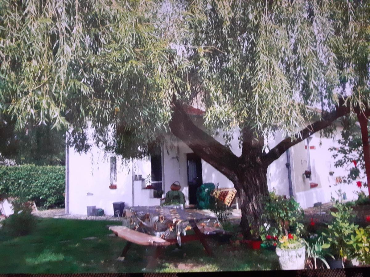 Peti Kaz Saint-Seurin-sur-l'Isle Exterior foto